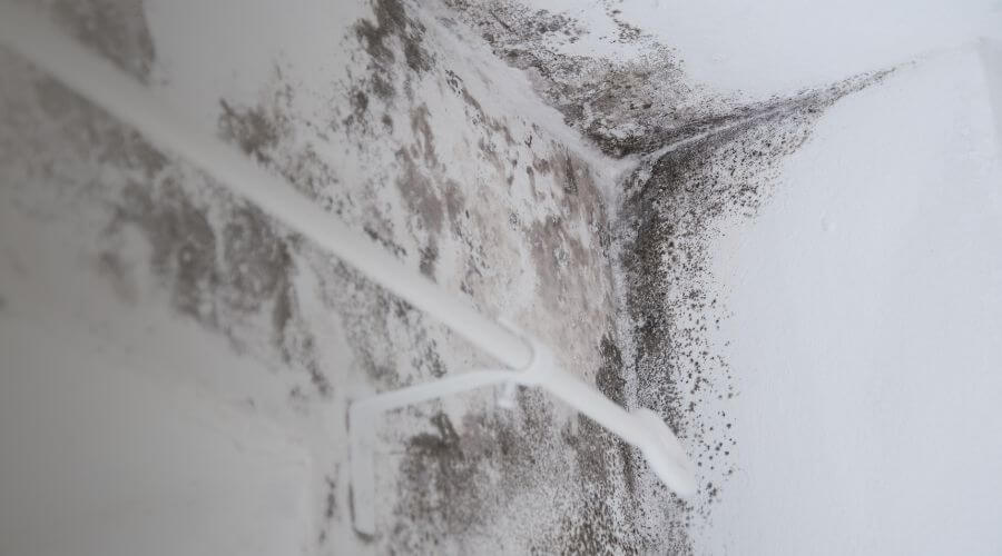 Why choose SwiftStream Pros for water damage restoration in Los Angeles